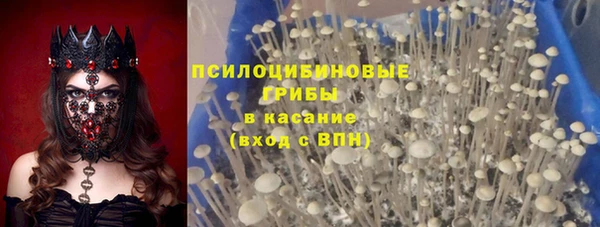 герыч Майский